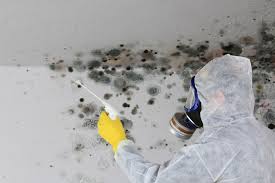 Mold Documentation for Insurance Claims in Fort Valley, GA